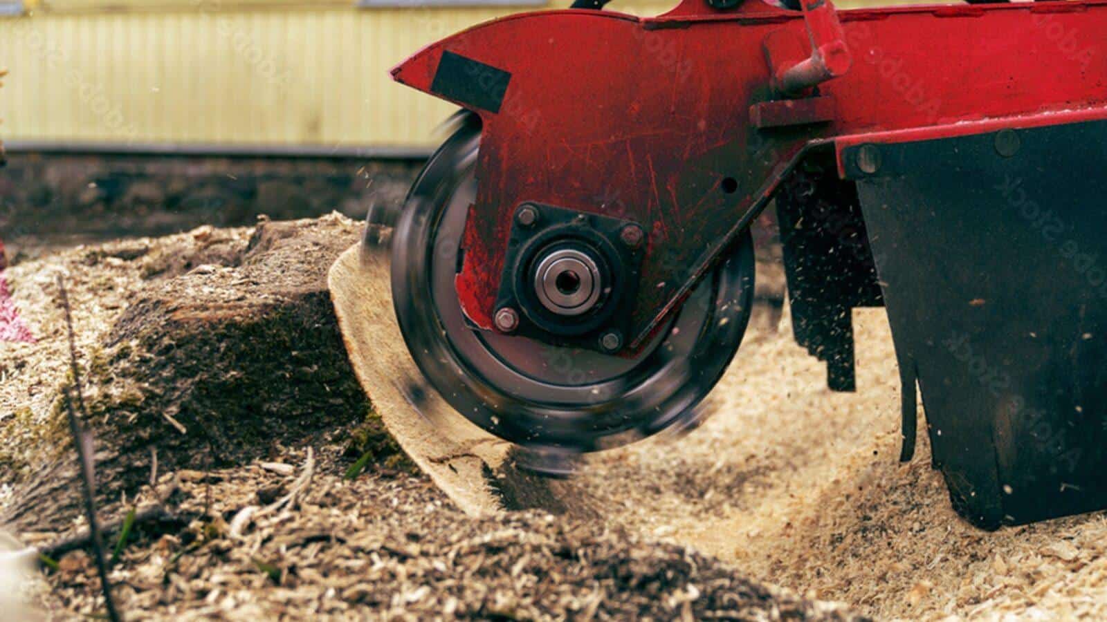 Melbourne stump grinding Stump grinding Melbourne — remove stumps after tree or bamboo removal