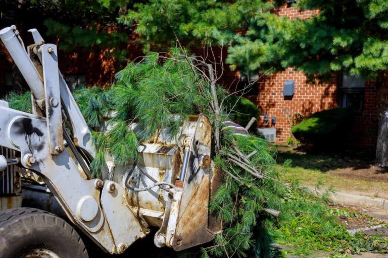Tree removal equipment clearing a fallen tree in a residential yard.