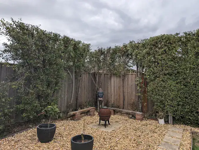 Tree removal service in Melbourne, performed by experts to ensure safety and efficiency.