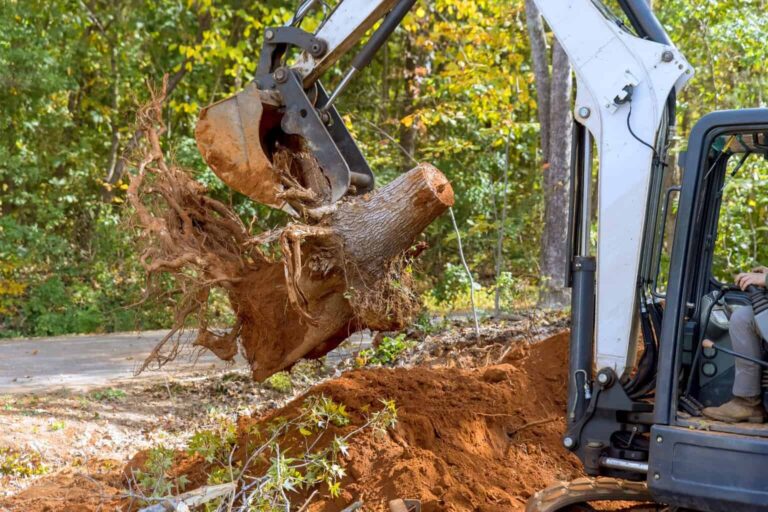 Tree removal with excavator in Melbourne, Australia.