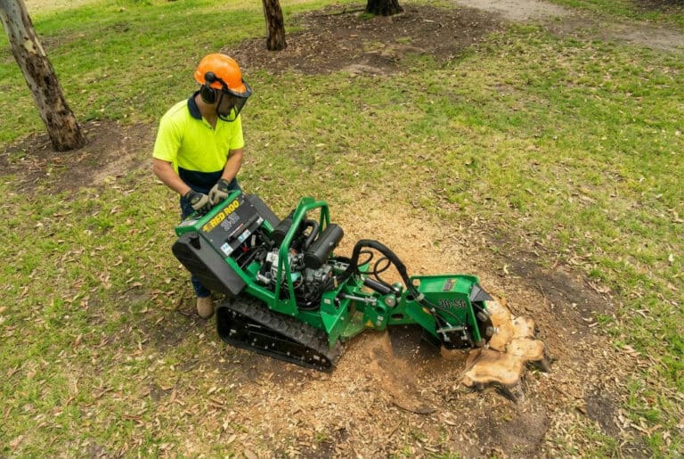 Stump Grinding vs Stump Removal: What’s the Difference?