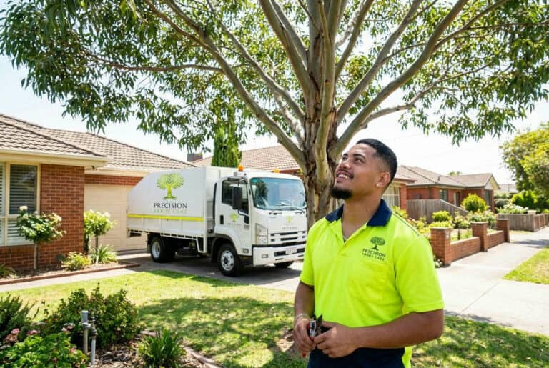7 Tree Pruning Mistakes That Can Kill Your Tree