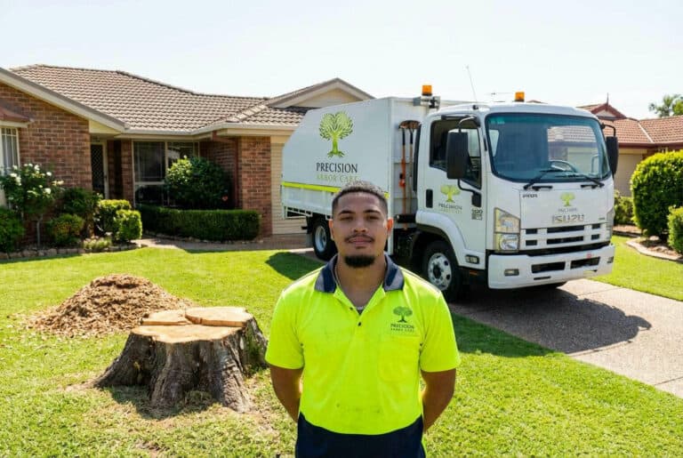 Do You Need a Permit to Remove a Tree in Melbourne?
