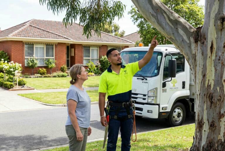 Can I Remove a Tree Myself in Victoria? (The Honest Answer)