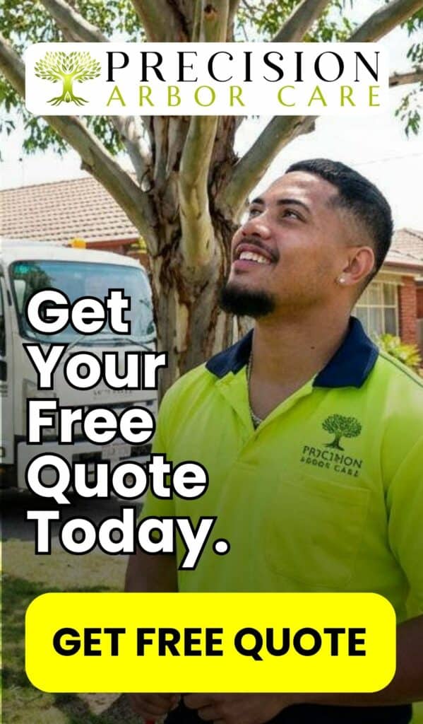 Skilled Melbourne tree removal specialist with safety and efficiency.
