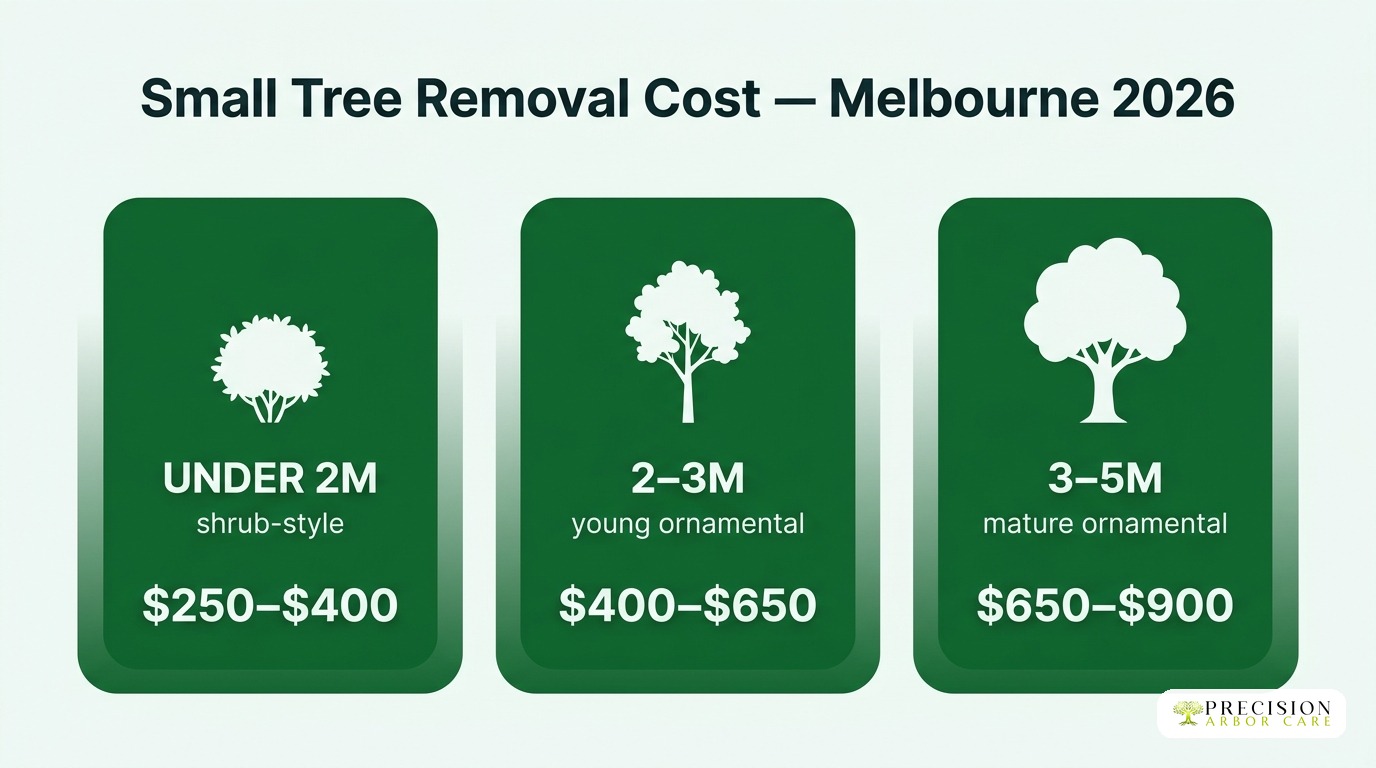 Small tree removal cost Melbourne 2026 by height: under 2m at $250-$400, 2-3m at $400-$650, 3-5m at $650-$900