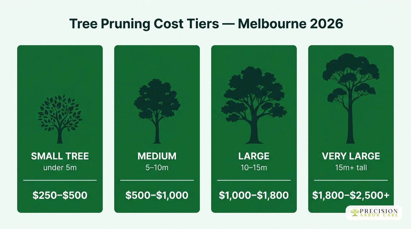 Tree pruning cost tiers Melbourne 2026 Precision Arbor Care infographic — Melbourne tree pruning cost tiers 2026: small under 5m at $250-$500, medium 5-10m at $500-$1,000, large 10-15m at $1,000-$1,800, very large 15m+ at $1,800-$2,500+