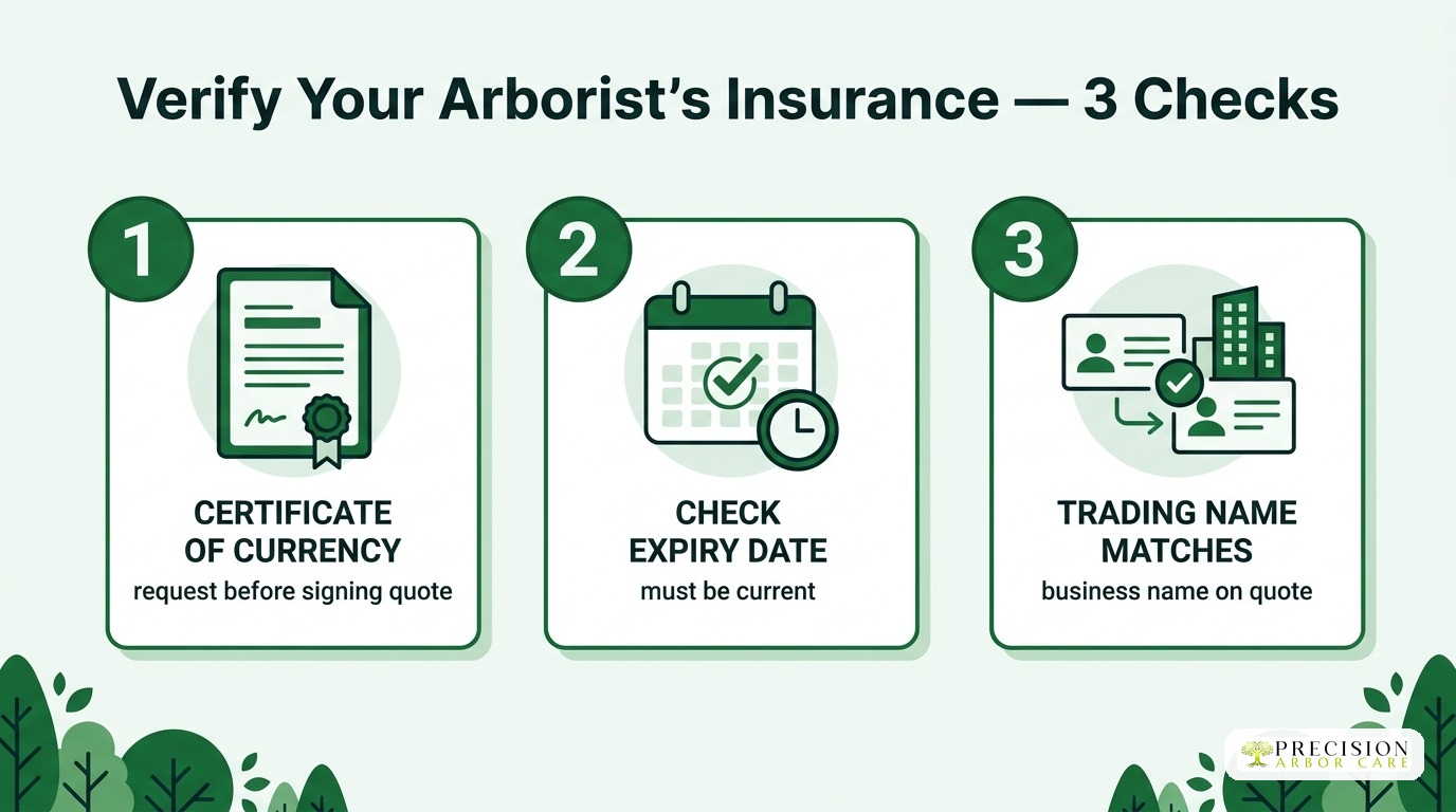 How to verify your arborist's insurance — certificate of currency, expiry date, trading name matches